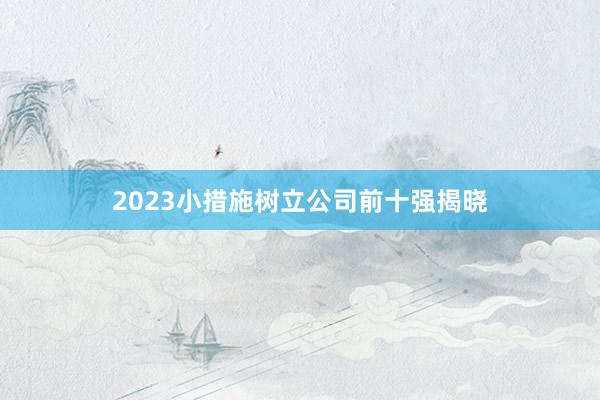 2023小措施树立公司前十强揭晓