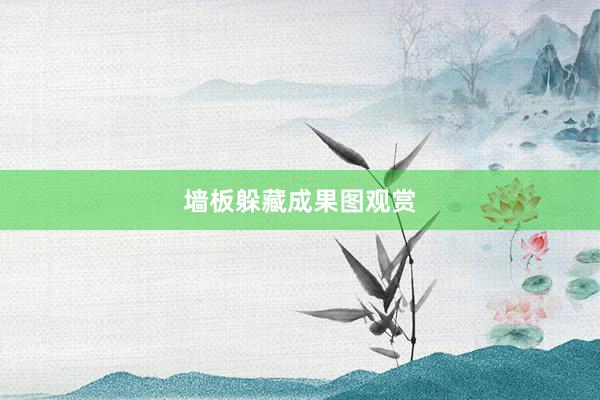 墙板躲藏成果图观赏